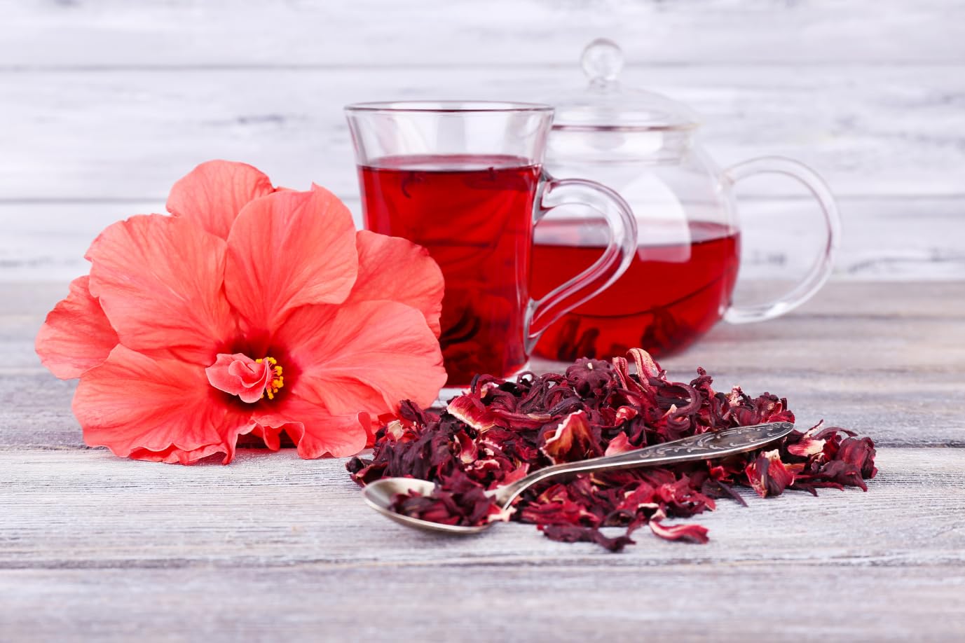 Hibiscus tea Price