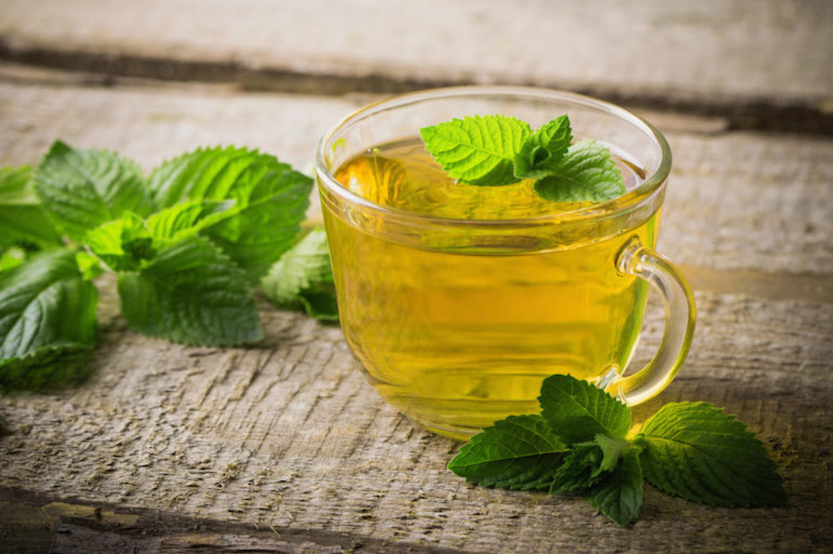 Lemon balm Sales